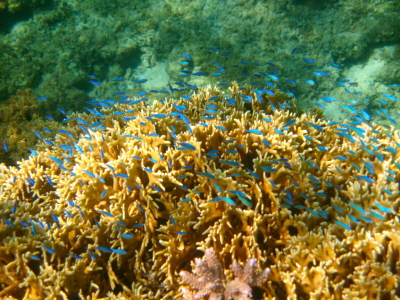 20080703_185539829.JPG