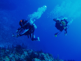 20080724diver.JPG