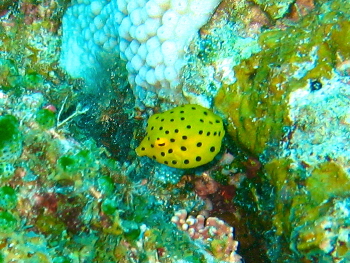 20080910_192335657.JPG