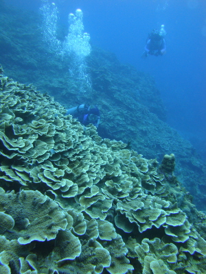 200901kika.JPG