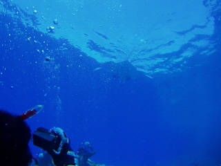 20090707_manta.JPG