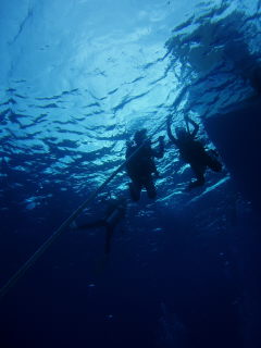 20090921_entry.JPG