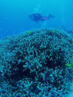 20090921_yubieda.JPG