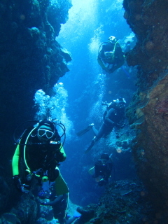 20100109_kubaminami.JPG