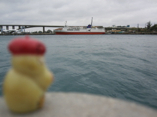 20100206_fery.JPG