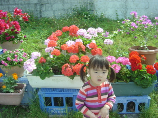 20100331_191319380.JPG