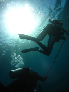 20100405_taiyo.JPG