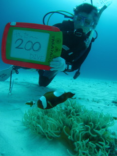 20100419_200dive2.JPG