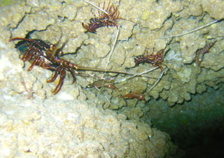 20100511_160129985.JPG