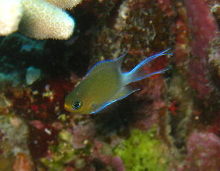 20100612_maru.JPG