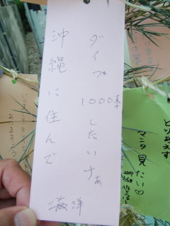 20100704_negai4.JPG