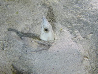20101014_minamihotate.JPG