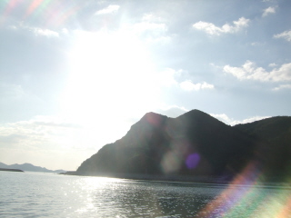 20101229_taiyou.JPG