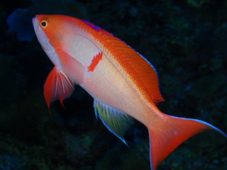 20110106_kasiwa.JPG