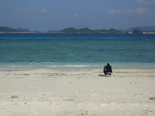 20110206_nisihama.JPG