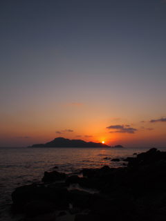 20110206_yuuhi.JPG