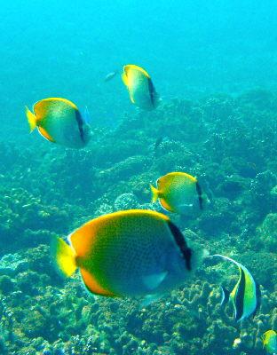 20110306_204815844kokutenn.JPG
