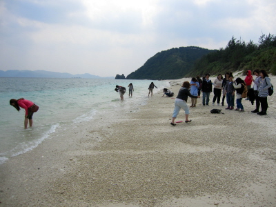 20110310_beach.JPG