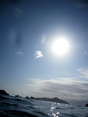 20110410_ohisama.JPG