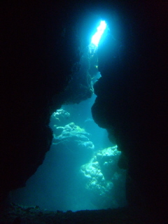 20110414_hikari.JPG