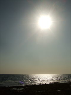 20110414_yuuhi.JPG