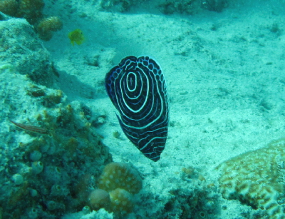 20110715_tatejima.JPG