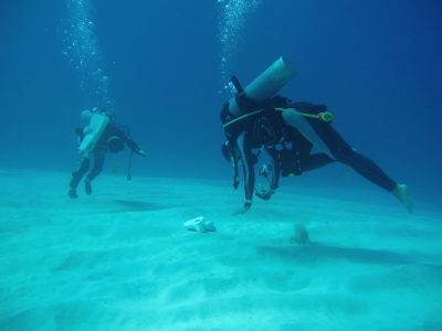 20110816_fin.JPG