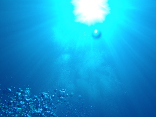 20110824_185802563.JPG