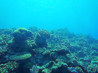 20110908_185438047.JPG