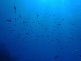 20111001_215930532.JPG