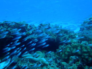 20111005_200627485.JPG