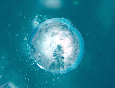 20111009_awa.JPG