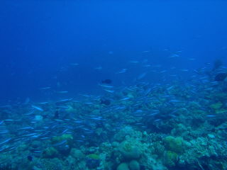 20111015_185019907.JPG