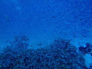 20111022_184123829.JPG
