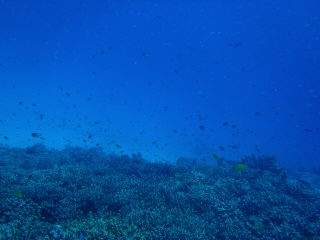 20111023_190956532.JPG