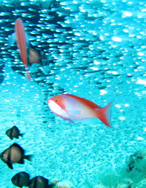 20111025_kasiwa.JPG