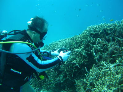 20111116_Osan.JPG