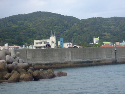 20120302_100300329.JPG