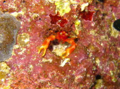 20120303_robokon.JPG
