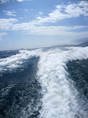 20120304_nami.JPG