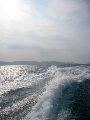 20120316_nami.JPG