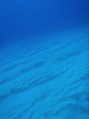 20120318_170804313.JPG