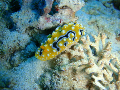 20120331_105056454.JPG
