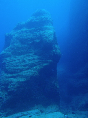 20120408_170422907.JPG
