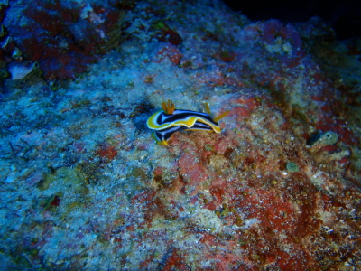 20120408_170440563.JPG