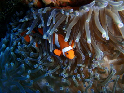 20120409_110823501.JPG