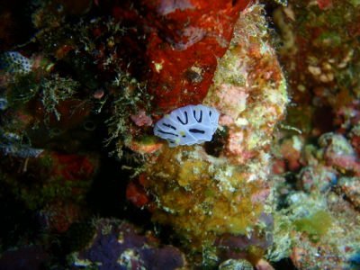 20120409_110921813.JPG
