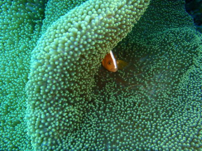 20120409_110939282.JPG