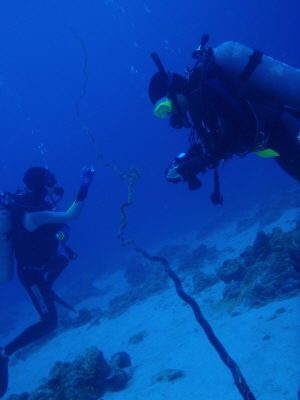 20120415_183550610.JPG