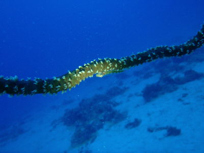 20120415_183607797.JPG
